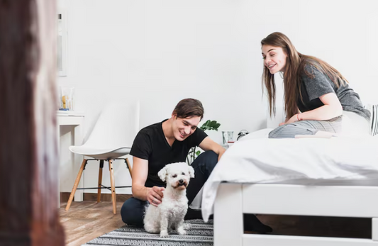 Give Your Pet a Happy Place at Home: Creating a Haven for Your Furry Friend